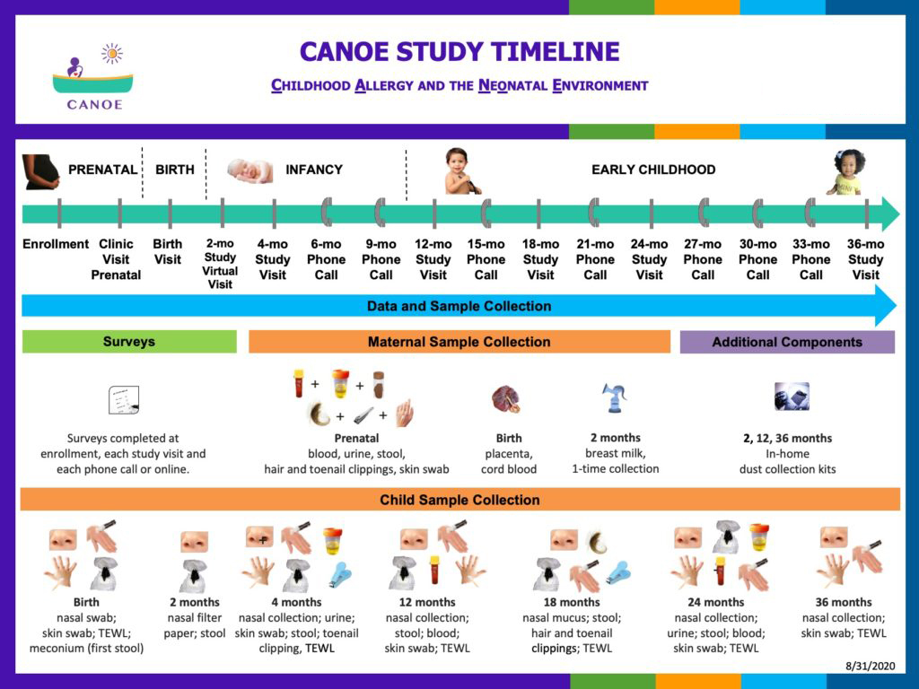 CANOE Study Timeline